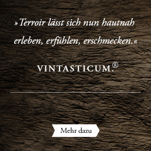 Teaser Vintasticum